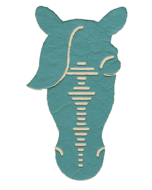 DE Agent app icon featuring the Dudley Editions horse head logo